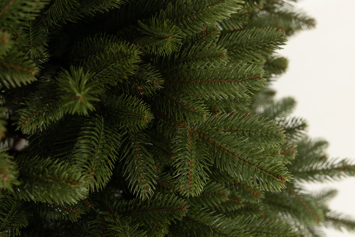 Close-up of Ukrainian Prime branch tips molded from 100% polyethylene