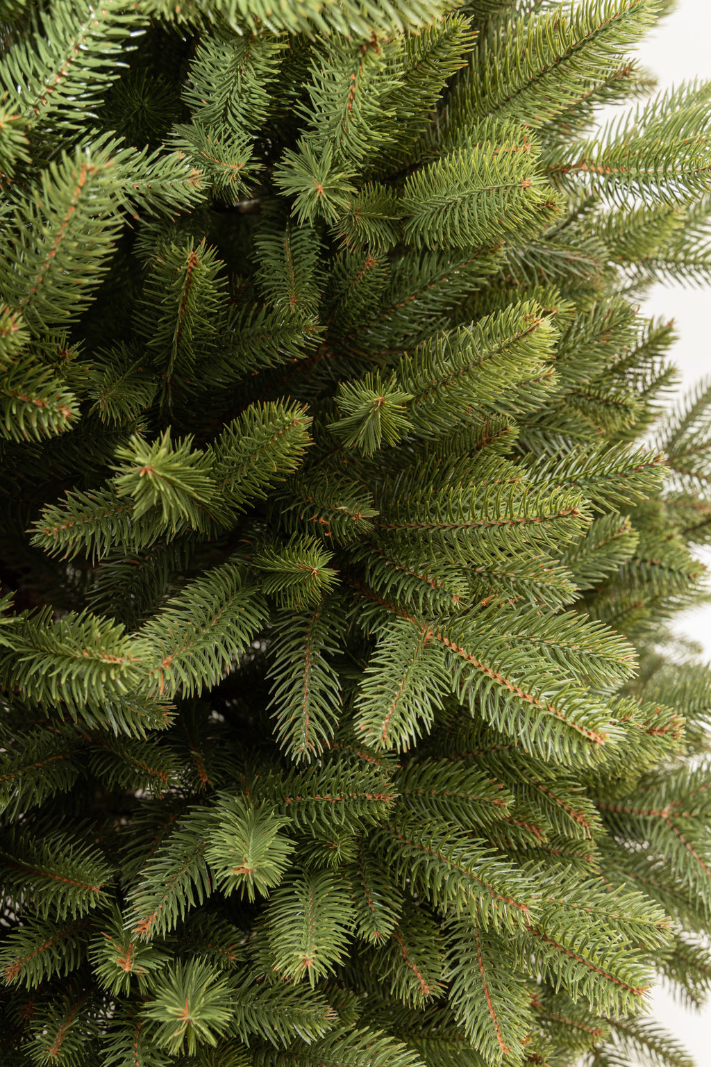 Detail of the dense Ukrainian Prime canopy, showing tips with no PVC filler