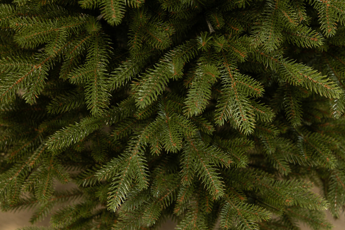 Detail of Grace needles, each tip molded from a real spruce branch