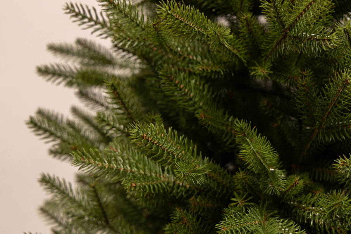 Close-up of Grace branch tips molded from 100% polyethylene